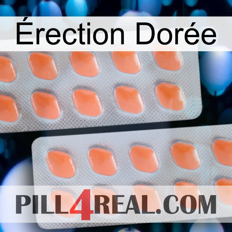 Érection Dorée 27